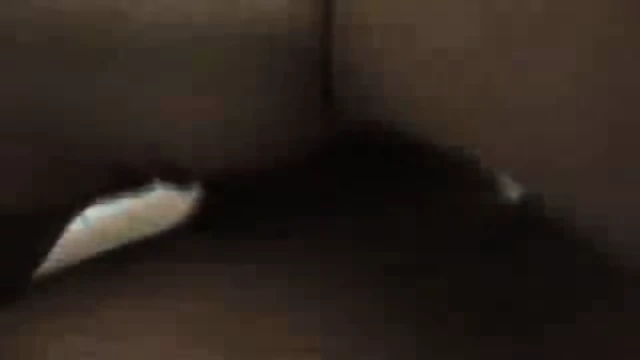 German Amateurs have Sex in Toilet