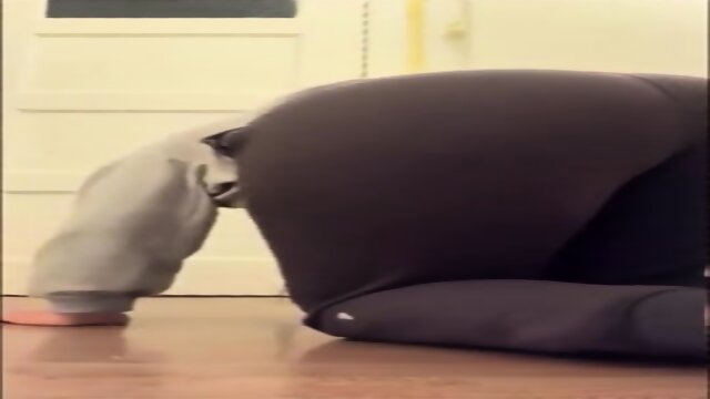 Joana Dzietko Phat Ass White Girl