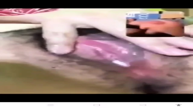 9910636797 VIDEO CALL SEX CHAT PHONE SEX GENUINE SERVICE AVAILABLE