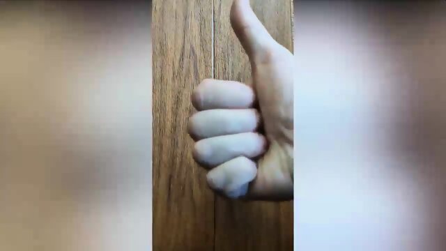 Journey to the Inside of the Pussy