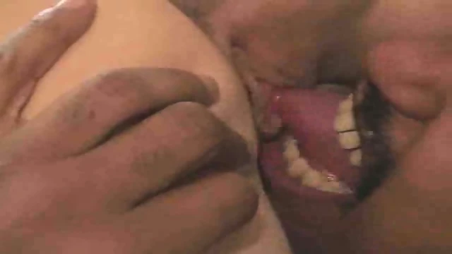 White Rabbits in the Black Forest 3