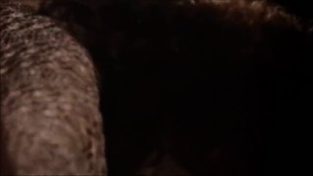 Preview 6