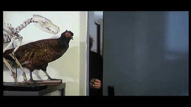 german classic porn 1601