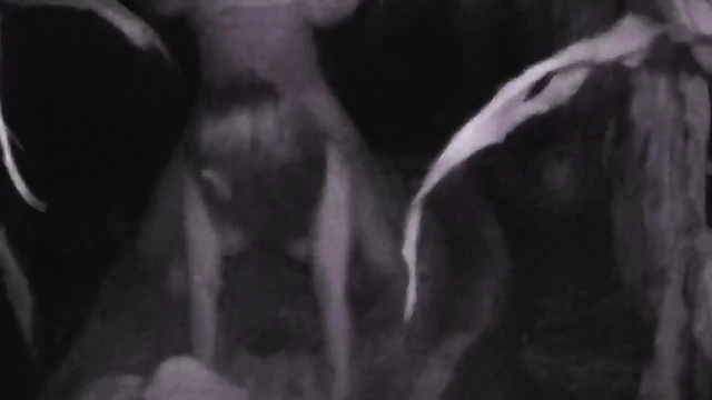 Gangbang Dogging For Slutwife Alice