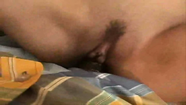 suche immer neue Schw&auml;nze