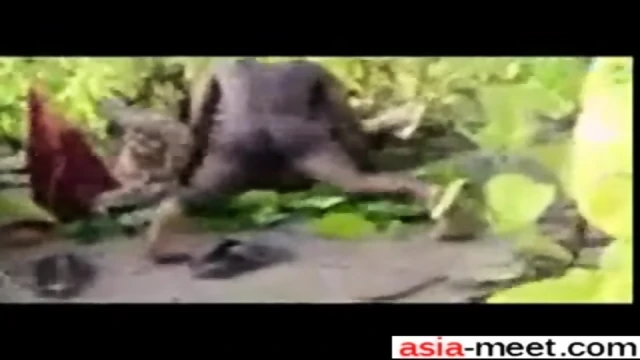 Date Her At Asia-meet - Bangladeshi Pat Khat P2