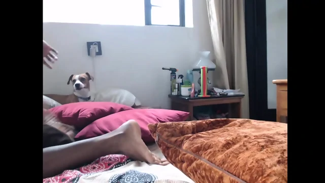 interracial couple cam