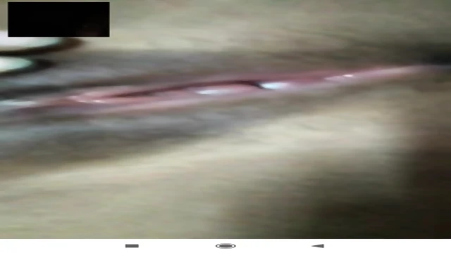 Tahia WhatsApp chat video