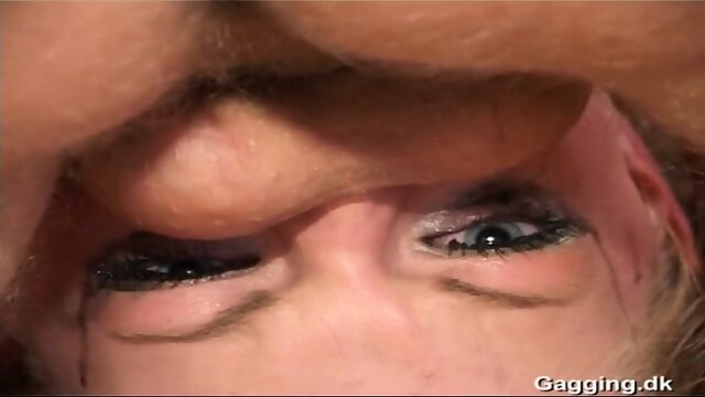 Preview 5