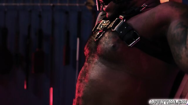 Preview 6