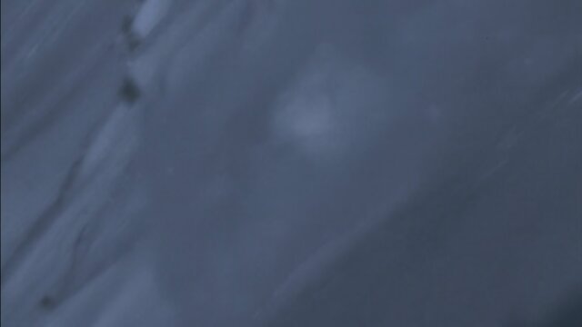 Preview 5