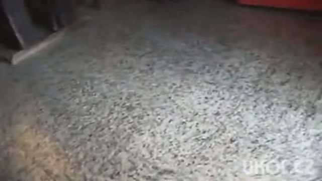 czech girl sucks and fucks