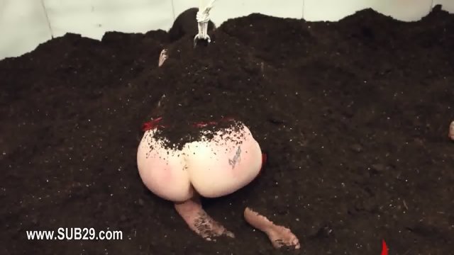 cute BDSM anal action in gangbang