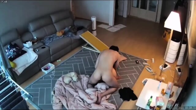 ipcam ë±ë¬¸ì ë ìì¸ íêµ­ì¼ë ìµì ì¼ë êµ­ì°ì¼ë ë¬´ë£ì¼ë ê³µì§ì¼ë íë ê·¸ë¨ quuq4 ê²ì