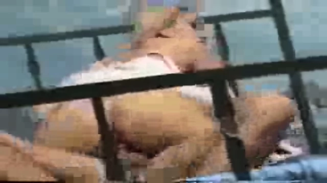 Eva Henger - Buon Natale