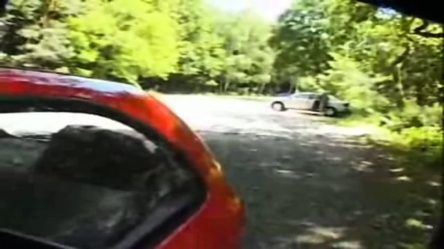 Amateur - Sex in the car